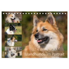  Islandhunde im Portrait (Tischkalender 2024 DIN A5 quer), CALVENDO Monatskalender – Monika Scheurer naptár, kalendárium