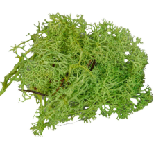  Izlandi moha világoszöld 25dkg/csomag dekorációs kellék