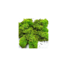  Izlandi zuzmó, almazöld. Kb. 35gr dekorációs kellék