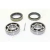 JAPANPARTS kerékcsapágy készlet KK-16004