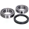 JAPANPARTS kerékcsapágy készlet KK-19001