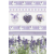Javoli Levendula Heart A/4 gumis mappa