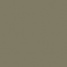 Javoli Oliva zöld Maki szalvéta 20 db-os 33x33 cm party kellék