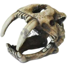 JBL Kardfogú koponyát ábrázoló műgyanta akvárium dekoráció (100 mm) akvárium dekoráció