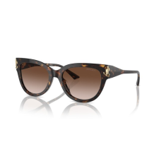 Jimmy Choo JC5018U 500213 HAVANA GRADIENT BROWN napszemüveg napszemüveg