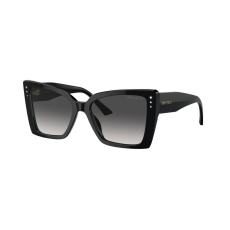 Jimmy Choo Napszemüvegek Jimmy Choo JC5001B 50008G