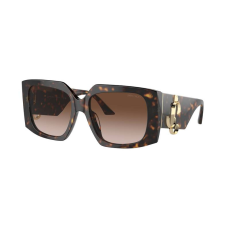 Jimmy Choo Napszemüvegek Jimmy Choo JC5006U 500213