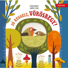 Jó reggelt, vörösbegy! gyermek- és ifjúsági könyv