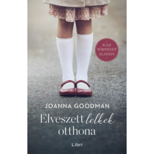 Joanna Goodman - Elveszett lelkek otthona egyéb könyv