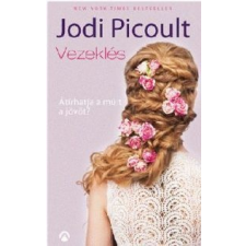 Jodi Picoult Vezeklés regény