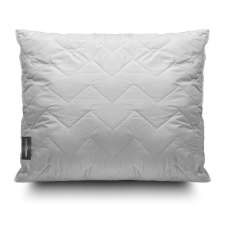 John Cotton CleanLiness párna, 50 x 70 cm, 50 x 70 cm lakástextília