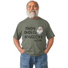  Jóképű, okos és nyugdíjas vagyok - Férfi Póló férfi póló