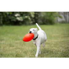 Jolly Pets futbal labda  narancs színű vanilla  illatú kutyajáték játék kutyáknak