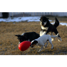 JOLLY Pets tojás alakú játék 30 cm piros kutyajáték játék kutyáknak