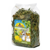 JR Farm JR Farm Gyermekláncfű 100 g