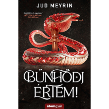Jud Meyrin - Bűnhődj értem! regény