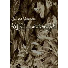 Juhász Veronika (magánkiadás) Kifelé a sötétségből egyéb e-könyv