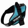 Julius-K9 B:Julius K-9 Powerhám felirattal 0-ás méret (türkizkék zsákszövet) 14-25 kg-ig
