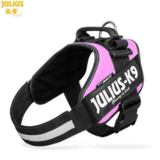  Julius-K9 IDC Powerhám, felirattal, Pink – Méret 2 nyakörv, póráz, hám kutyáknak