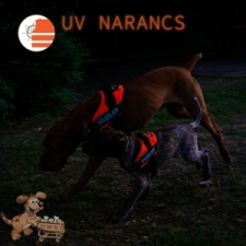 Julius-K9 IDC Powerhám, Mini-Mini UV - Narancs nyakörv, póráz, hám kutyáknak