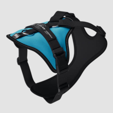 Julius-K9 JK9 Longwalk Light kutyahám okoseszköz-tartó hámfelírattal, aquamarine, L nyakörv, póráz, hám kutyáknak
