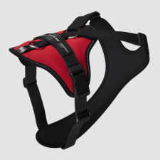 Julius-K9 JK9 Longwalk Light kutyahám okoseszköz-tartó hámfelírattal, piros, XL nyakörv, póráz, hám kutyáknak