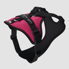 Julius-K9 JK9 Longwalk Light kutyahám okoseszköz-tartó hámfelírattal, sötét pink, 2XL nyakörv, póráz, hám kutyáknak