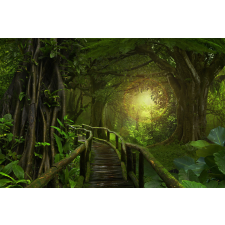  Jungle light tapéta, 300 x 200 cm tapéta, díszléc és más dekoráció