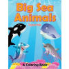 Jupiter Kids Big Sea Animals (A Coloring Book) | Jupiter Kids
