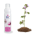 Just Nahrin Just Mályva habtusfürdő 300ml