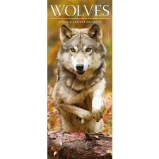  Kalendář/Diář Wolves (Naptár/Határidőnapló) naptár, kalendárium