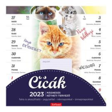 Kalendart 2023-as T090 mágneses cicás falinaptár (23T9000-001) naptár, kalendárium
