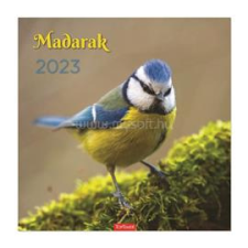 Kalendart 2024-es T098 madarak falinaptár (24T9800-18A) naptár, kalendárium