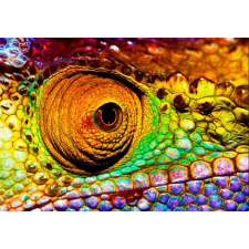  Kaméleon tapéta, 300 x 200 cm tapéta, díszléc és más dekoráció