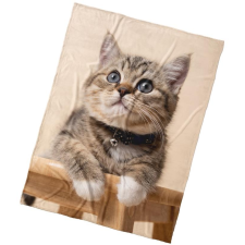 KAPTAN Microplush blanket Kitten Roller 150 × 200 cm (336092-010) lakástextília