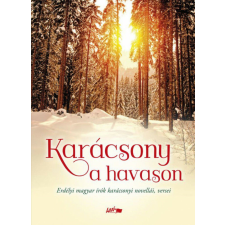 Karácsony a havason regény