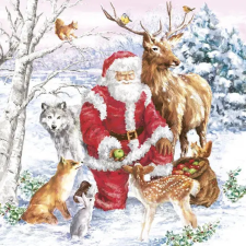 Karácsony Santa &amp; Animals szalvéta 20 db-os 33x33 cm party kellék