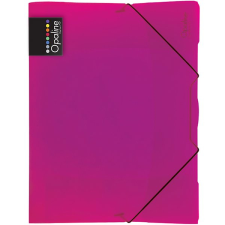 Karton P+P Opalin mappa gumival A4, magenta mappa