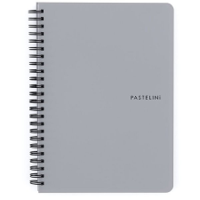 Karton P+P Pastelini Pastelini Twin wire A5 PP szürke füzet