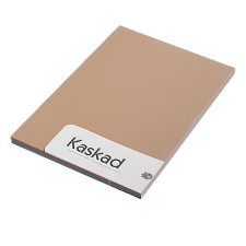 Kaskad Fénymásolópapír színes KASKAD A/4 80 gr vegyes élénk (19,29,63,86,99) 5X20 ív/csomag fénymásolópapír
