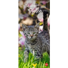 Katzen slim - Auf sanften Pfoten Kalender 2026 naptár, kalendárium