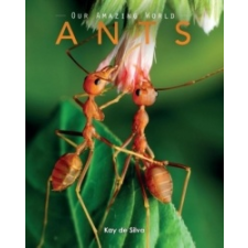  Kay de Silva - Ants – Kay de Silva idegen nyelvű könyv