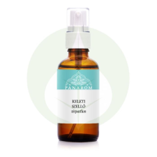  Keleti szellő - Térparfüm - 50ml - Panarom bojli, aroma