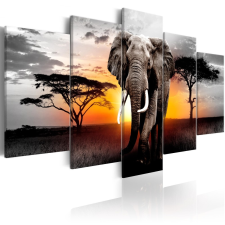  Kép - Elephant at Sunset 100x50 grafika, keretezett kép