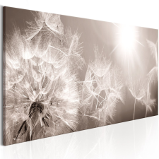  Kép - Summer Dandelions 150x50 grafika, keretezett kép