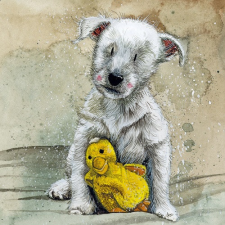  Képeslap Alex Clark borítékkal, 14x14 cm, kutyus kacsával képeslap