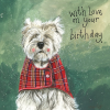  Képeslap Alex Clark borítékkal, 14x14 cm, Westie HBD