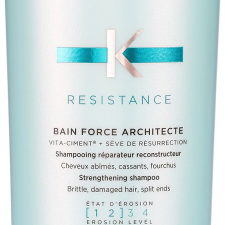 Kérastase KÉRASTASE Résistance Bain Force Architecte 1000 ml sampon