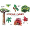  Keresd a levelét! - Memóriajáték fákkal