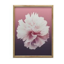 KERET FALI PLAKÁT ETHERICAL BEAUTY FLOWERS 40x50 CM grafika, keretezett kép